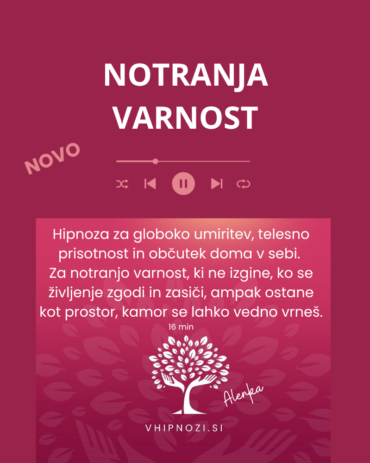 Notranja varnost
