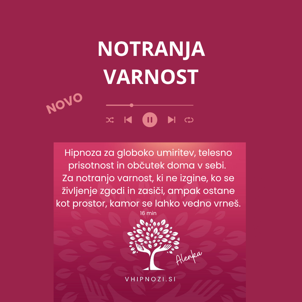 Notranja varnost